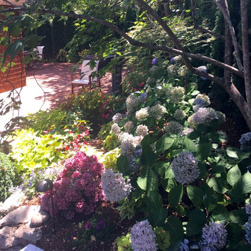 Kentfield Contemporary Garden 2