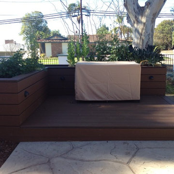 Landscaping under Eucalyptus Trees