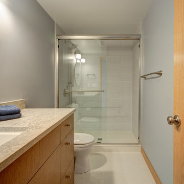 Fauntlee Hills Full Basement Remodel