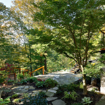 Bennington Heights Ravine One