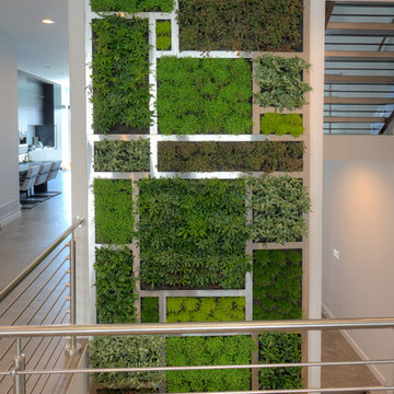 Living Wall at Private Home in Mt Adams