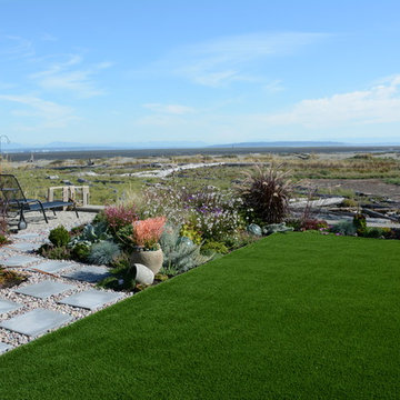 Contemporary Seaside Garden