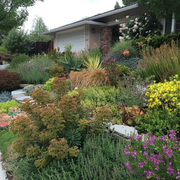 Landscape Design - Plant Design