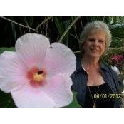 Faye Castleberry's photo