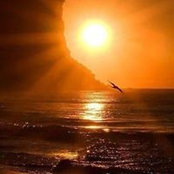 Laurie Bennett's photo