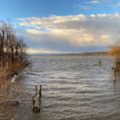 Foto von Markus Linner
