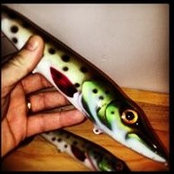 Joe Peterson's photo