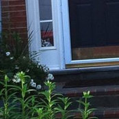 Kate Crabtree's photo
