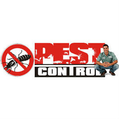 Best Pest Control Gold Coast