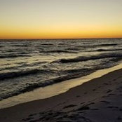Michael Love's photo