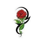 Mohammed Alsayegh's photo