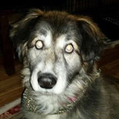 Jodie Mulherin's photo
