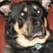 Barbara Warren Wilk's photo