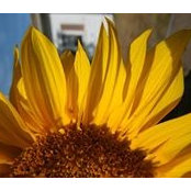 Susan Smith's photo