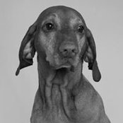 Steve Shaw's photo