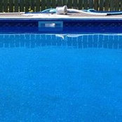 Tamara Biehn's photo