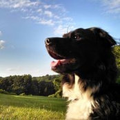 Matt Radbill's photo