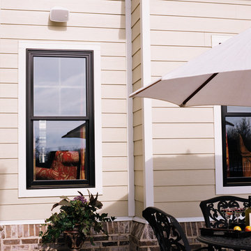 Windows Replacement