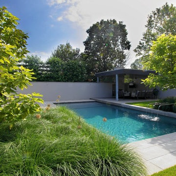 Moderne tuin met luxe veranda en zwembad en siergrassen