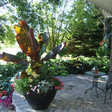 Front Yard Patio