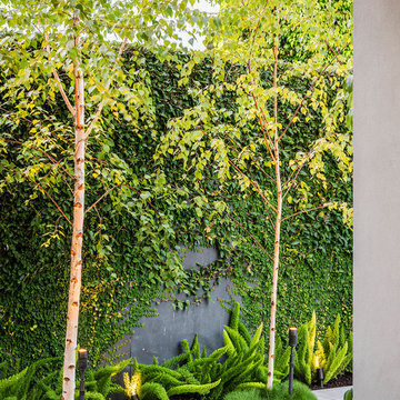 Toorak Project