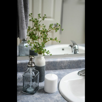 Vacant Home Staging - Potential on Display
