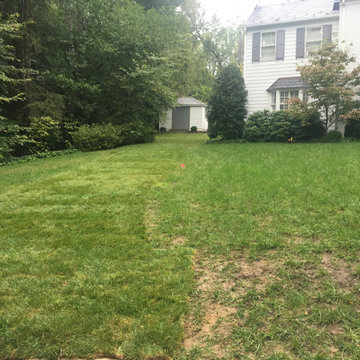 Grading & Sod