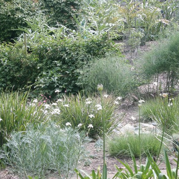 Fairbanks Ranch Edible Garden