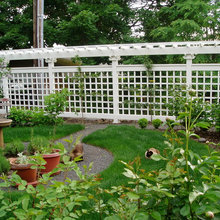 Fence Trellis