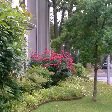 residential landscape