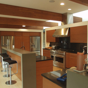Northern Wisconsin Contemporary Home