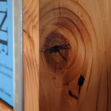douglas fir