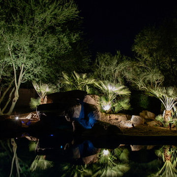Landscape Lighting