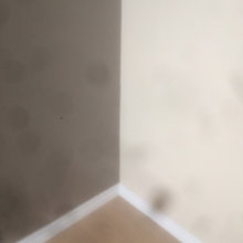 Roxan's ideas