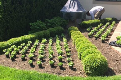 This is an example of a traditional landscaping in Kansas City.