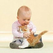 Ayesha Naeem's photo