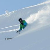 Colin Shea's photo