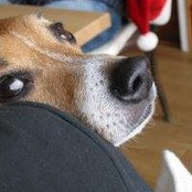 Foto von Sharon Colwell