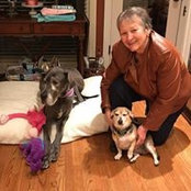 Jill Kaase's photo