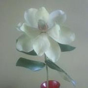 Chela D'Abreu's photo