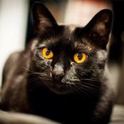 Felix Toro's photo