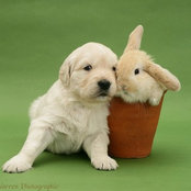 Rafael Sanchez's photo