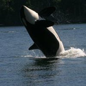 Kathy Bretl's photo