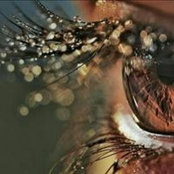 Foto von Abeer Allam