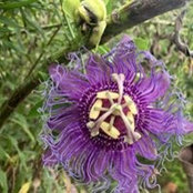Monica Dumke's photo
