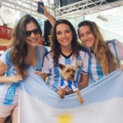 Chiara Mecozzi's photo
