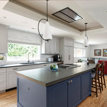 Stunning Kitchen & Basement Remodel in Mclean, VA