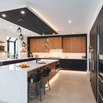 Full House Renovation- Extreme Black