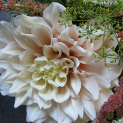 Flora Verdura - Products