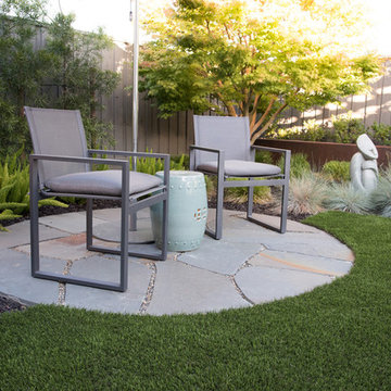Intimate contemporary Garden